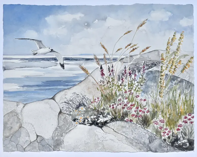 Akvarell Blomster i Skärgården av Cécile Hansson