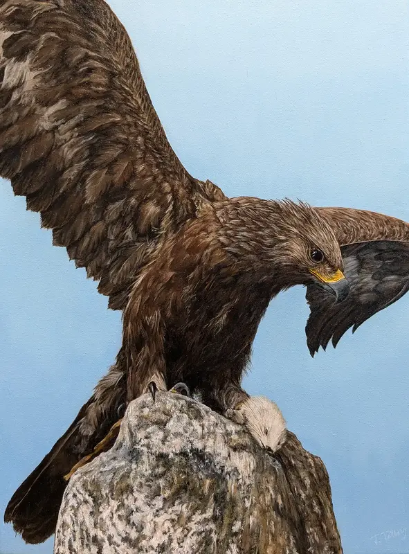 Oljemålning Örn av Tarek Tallberg