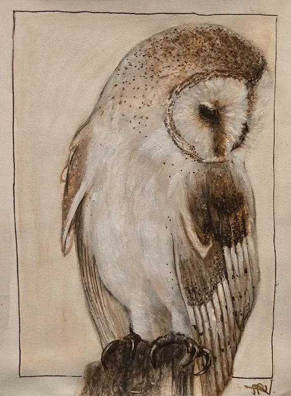 Vårens Tornuggla av Marianne Nushi