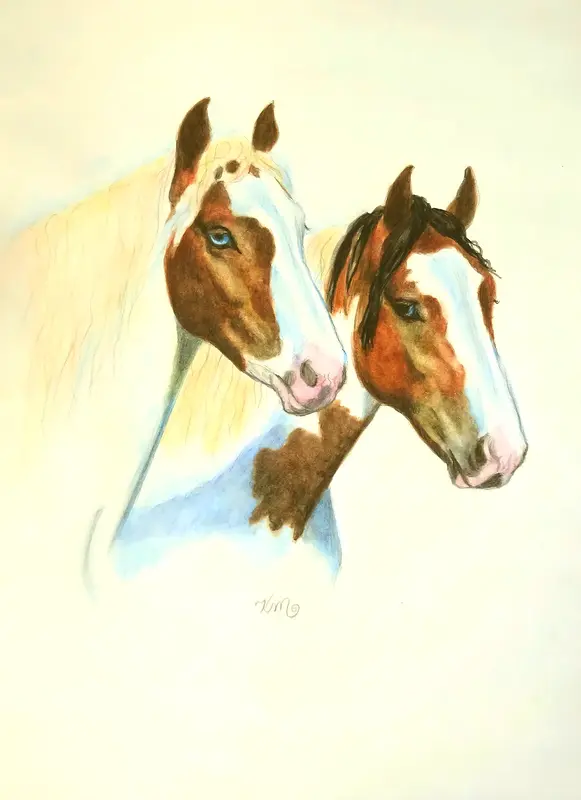 Ingen titel av Scaramander