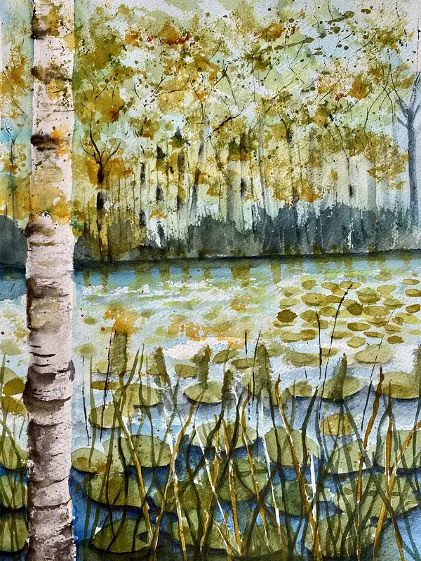 Akvarell Björken vid dammen av Margareta Mattsson