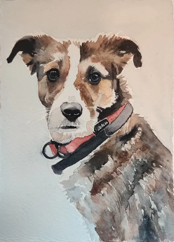 Akvarell AGAPI av Emelie Aronsson