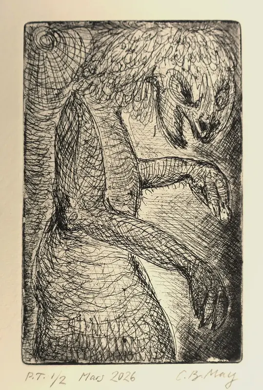 The Misunderstood av Charles Benjamin May