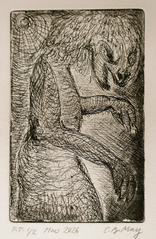 The Misunderstood av Charles Benjamin May