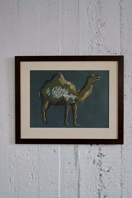 Dromedary av Michaela Grut
