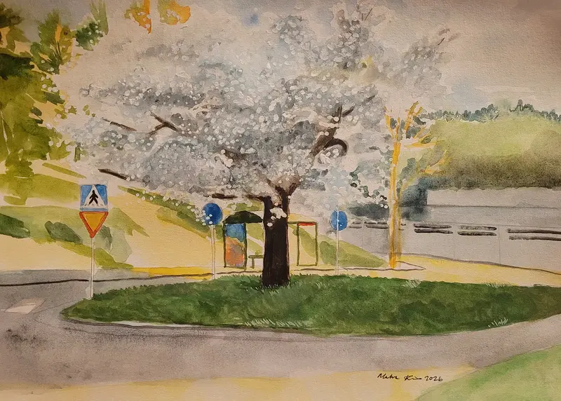 Akvarell Körsbärsträdet i Barkarby, Veddesta av Malva Forslin