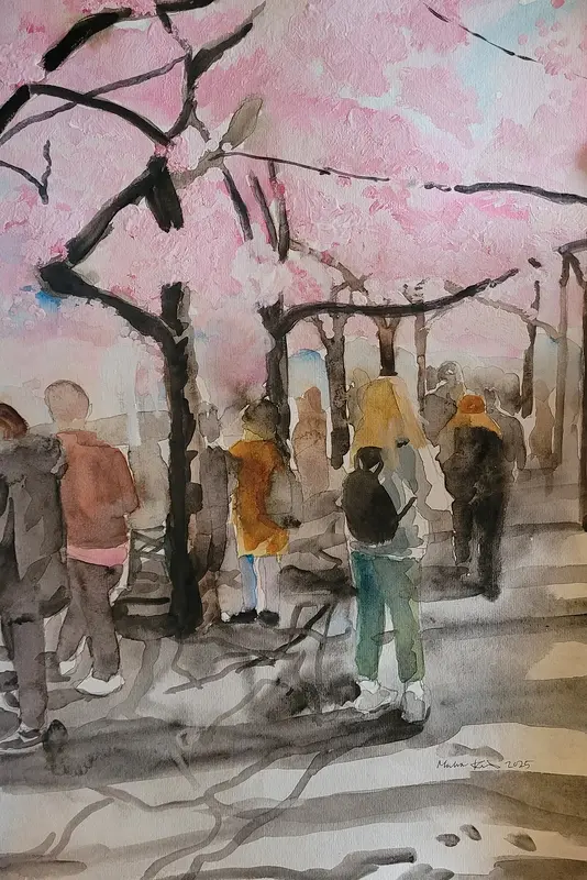 Körsbärsträden i Kungsträdgården av Malva Forslin