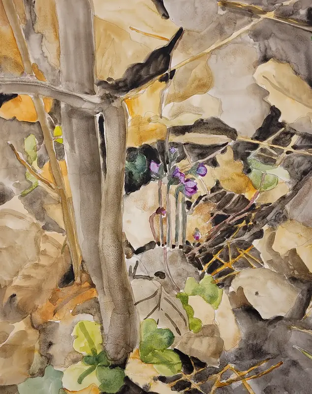 Akvarell Blåsippor av Malva Forslin