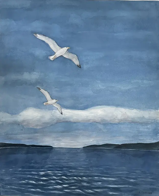 Akvarell Måsarna av Sven Teglund