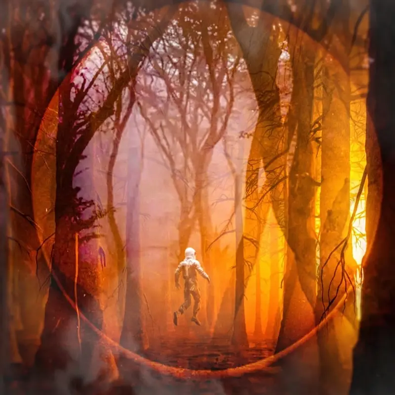 Lost in woods av Robert J Pisanikovski