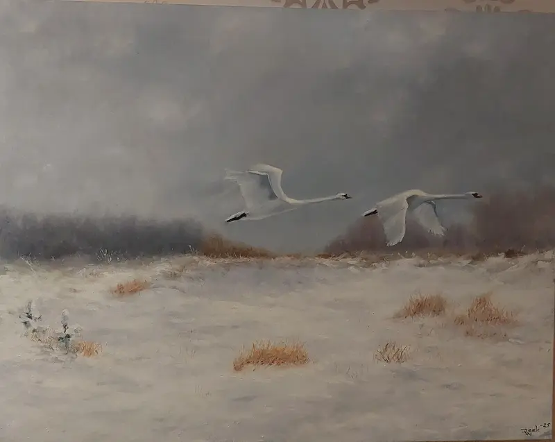 Oljemålning Svanpar över myren av Deek Wawrzyniak