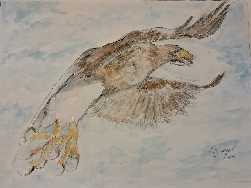 Akvarell Rovfågel, av Georgios Voutsas