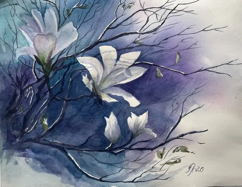 Akvarell Vitt magnolia av Tanya Lundmark