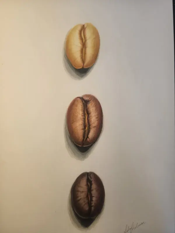Kaffebönor av Ida Axelsson