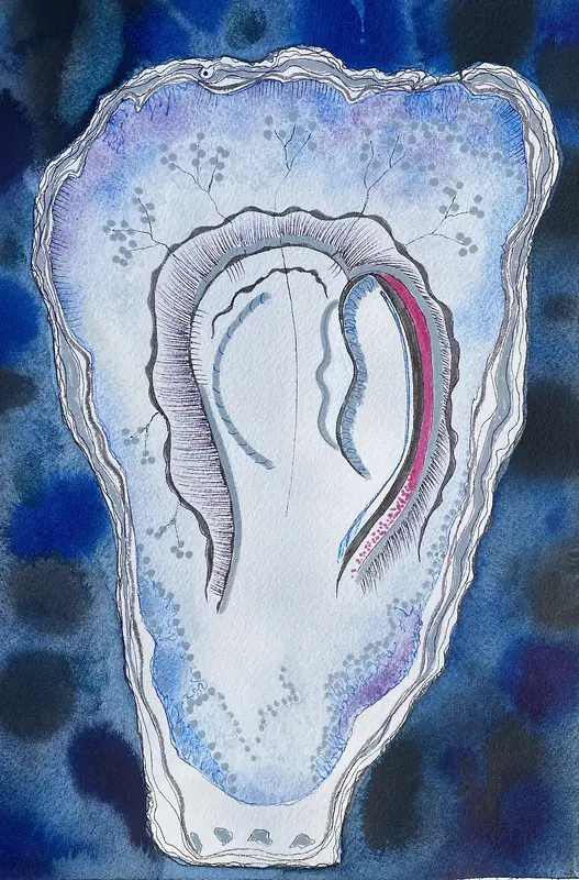 Akvarell Oyster No. 2 av Anna Lundin