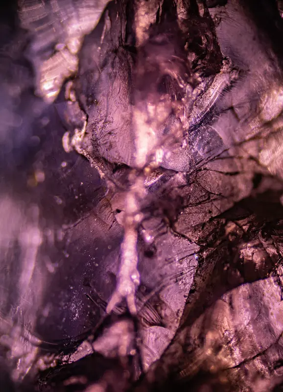 Amethyst surreal av Olle Hillborg