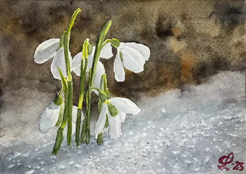 Akvarell Snödroppar av Christina Lilith Art