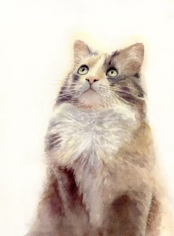 Akvarell Katt av Bea Carlsson