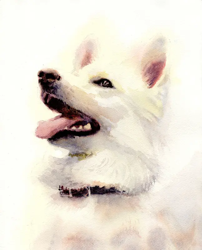 Akvarell Herdehund av Bea Carlsson
