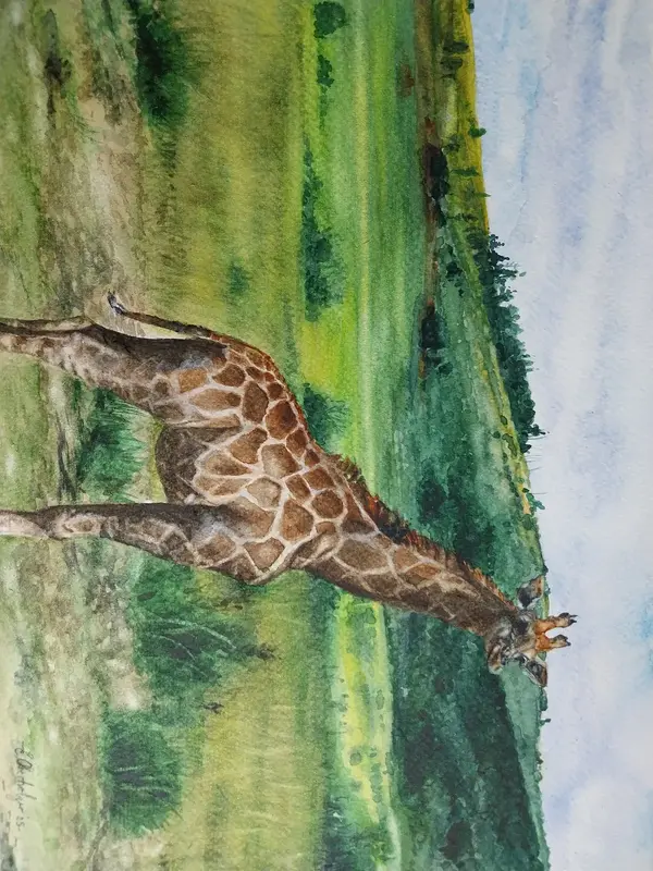 Akvarell Savanna:giraffe av Erika Oberholzer