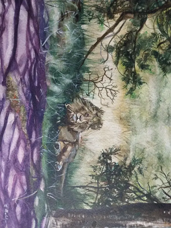 Akvarell Savanna:lion av Erika Oberholzer