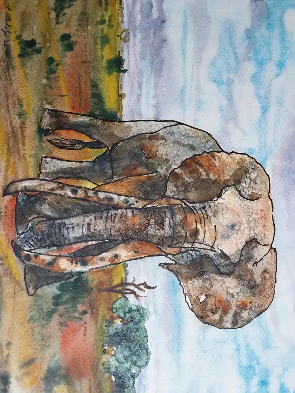 Akvarell Big 5: elephant av Erika Oberholzer