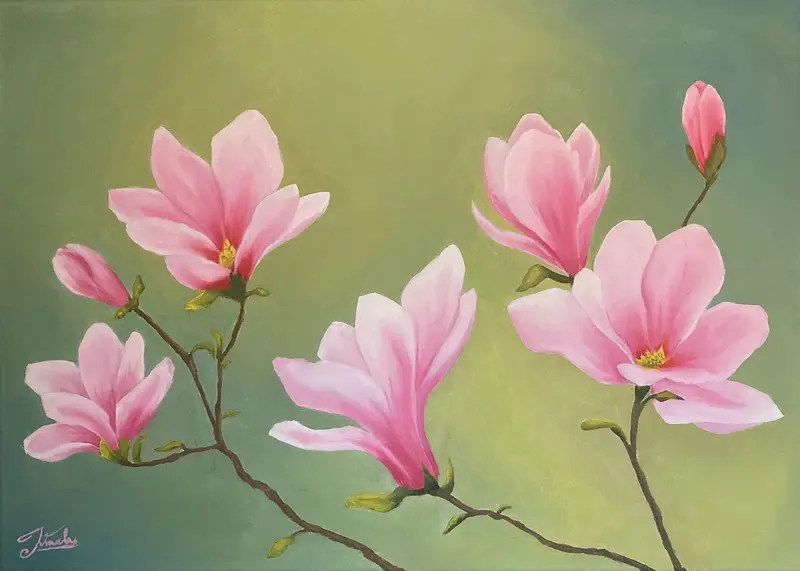 Oljemålning Rosa magnolia av Linnea Jinnelöv