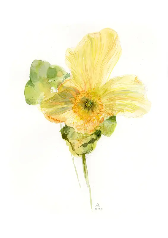 Akvarell Yellow flower av Anastasiia Mazeina