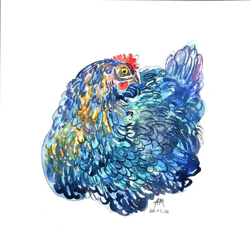 Akvarell Blue chicken av Anastasiia Mazeina