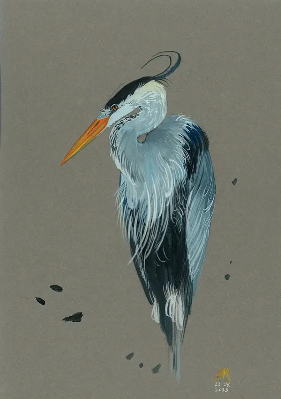 Grey Heron av Anastasiia Mazeina