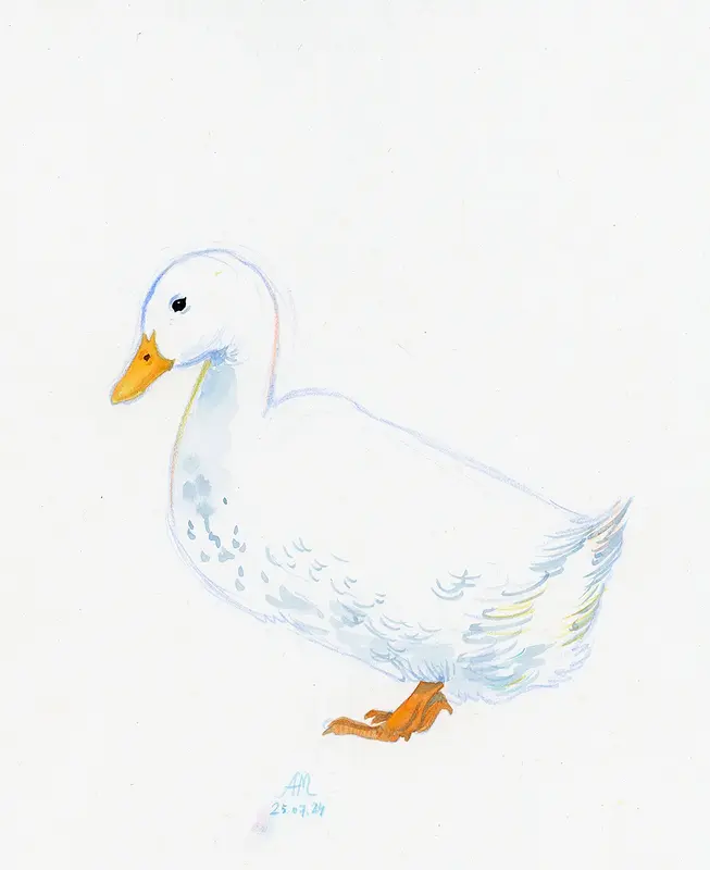 White duck av Anastasiia Mazeina