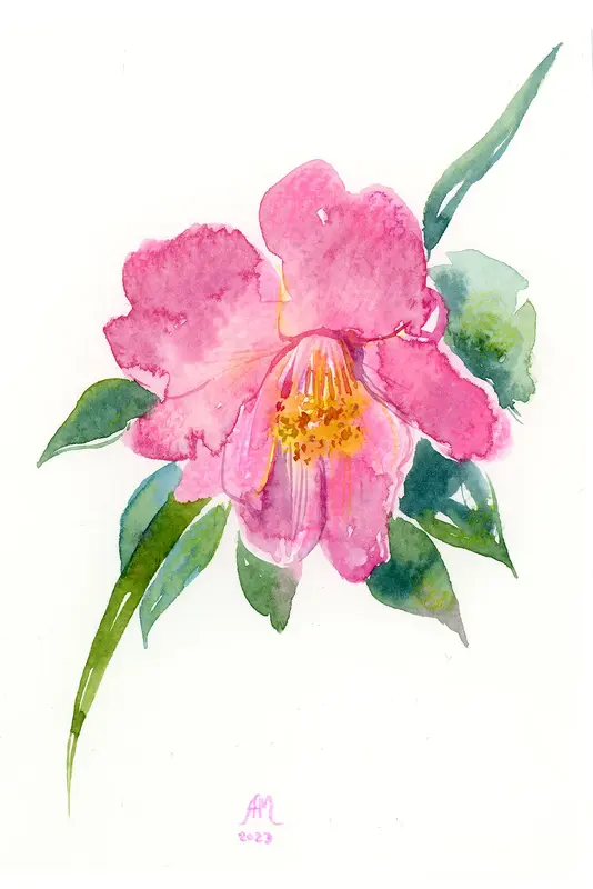 Akvarell Pink flower av Anastasiia Mazeina