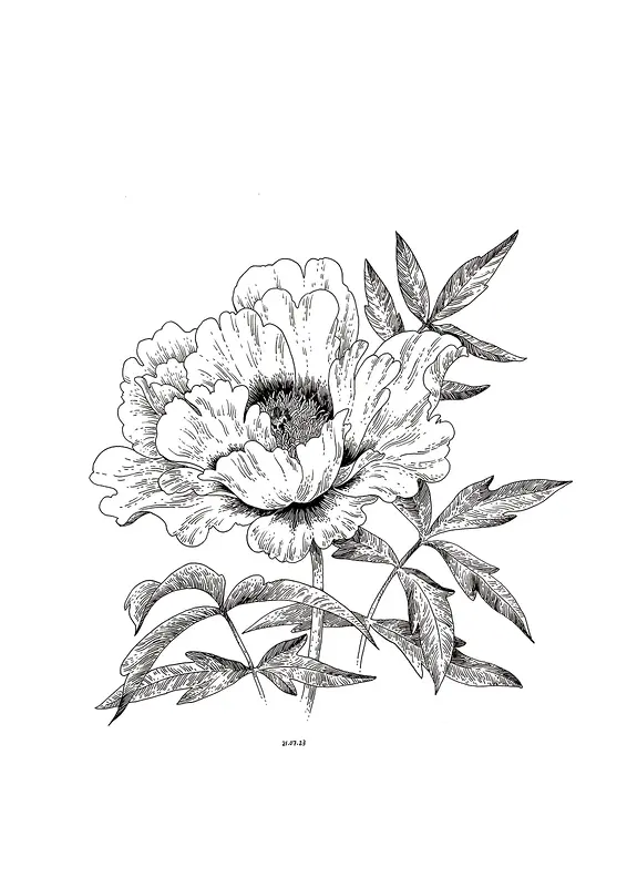 Black peony av Anastasiia Mazeina