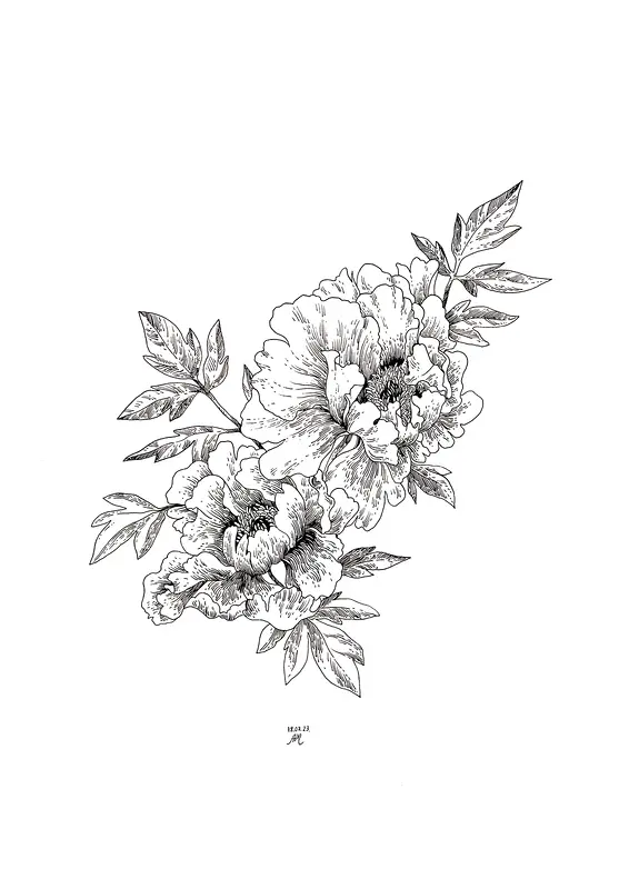 Black peonies av Anastasiia Mazeina