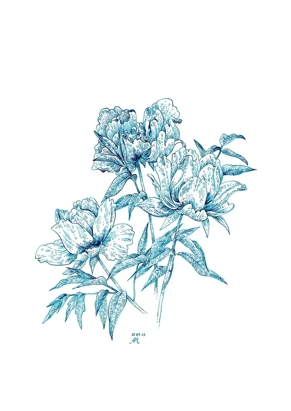 Three peonies av Anastasiia Mazeina
