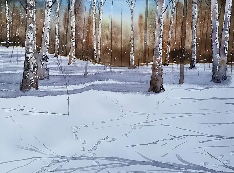 Akvarell Björkar i snön av Mikael Berglund