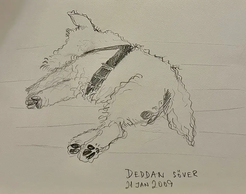 Deddan sover av Natasha Zacharoff
