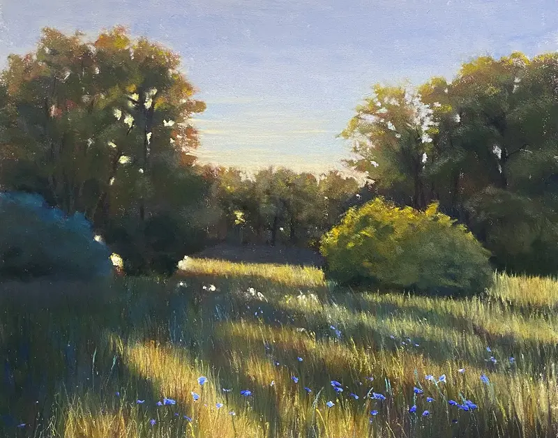 Sensommarljus av Ida Söderfjord