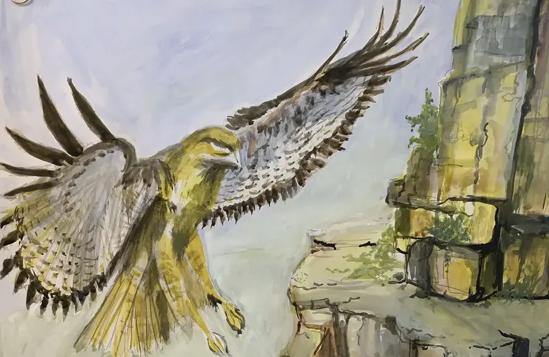 California hawk av Carlyle Minnaar