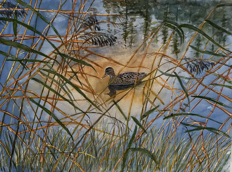 Akvarell Gräsanden av Sven Teglund