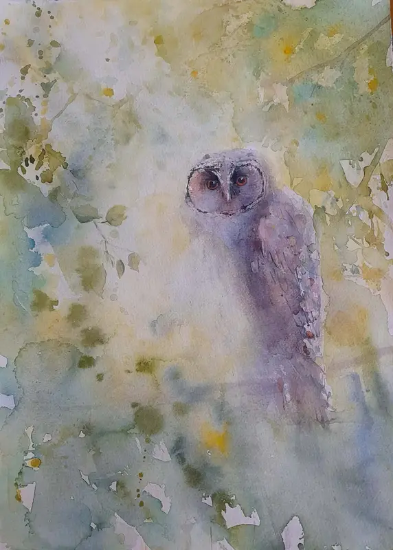 Akvarell Uggla I vårträd av Petra Skogsberg