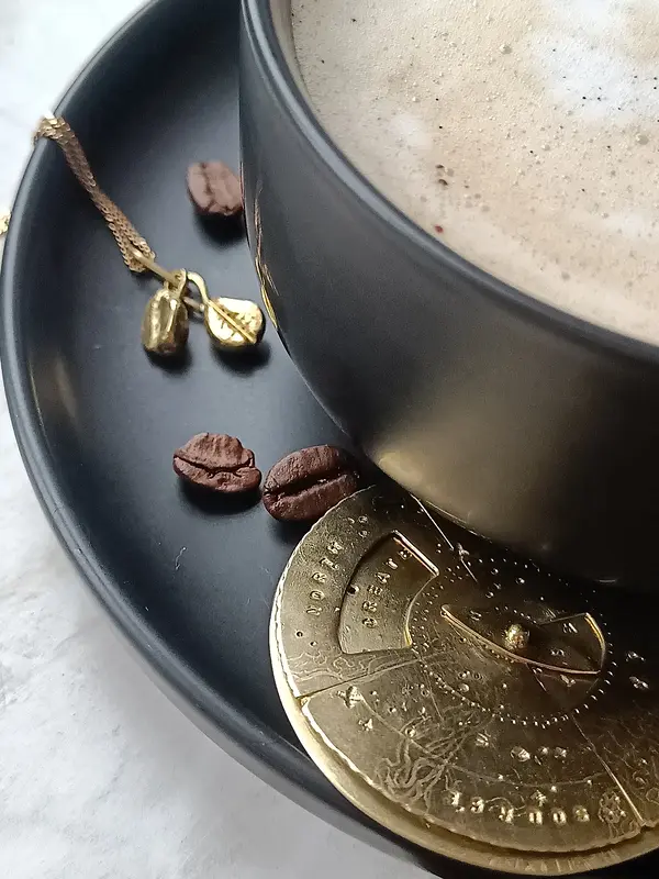 Talisman kompass & coffee bean hängen av Susanna Lind