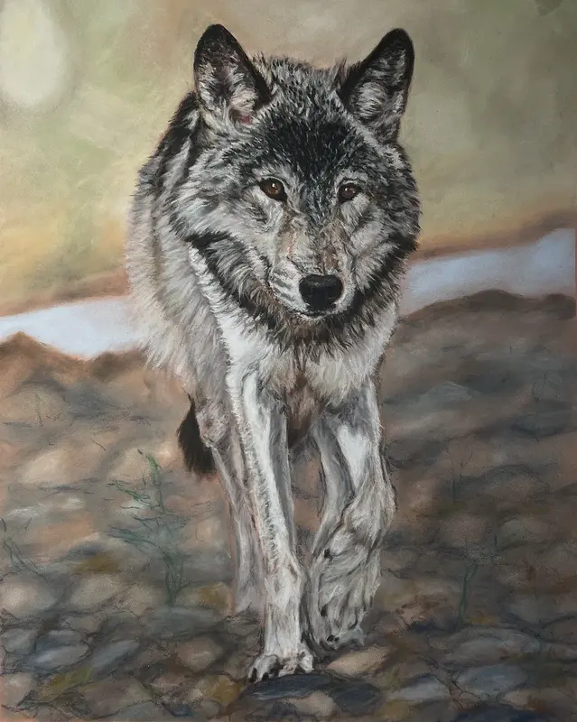 Varg av Maria Möller