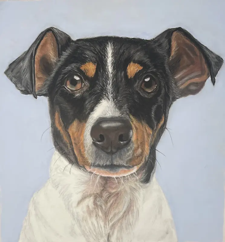 Jack Russell av Maria Möller