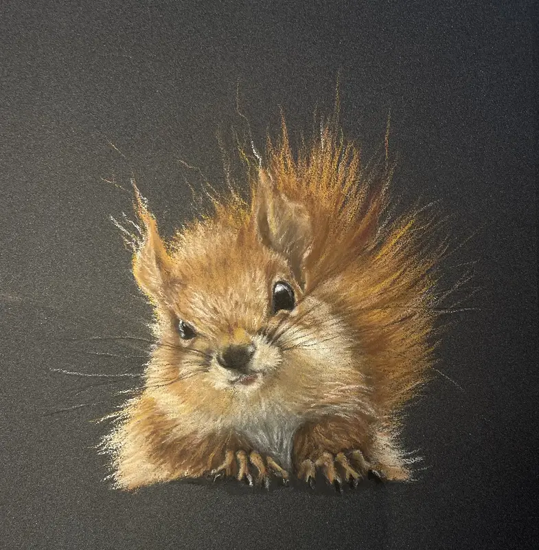 Ekorre av Maria Möller