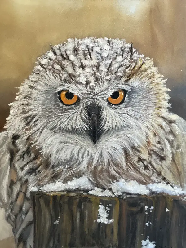 Fjälluggla av Maria Möller