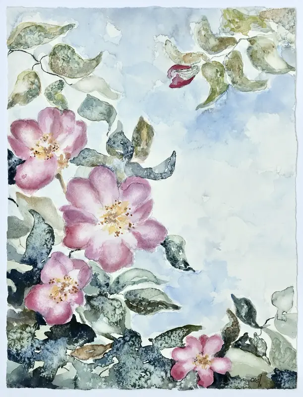 Akvarell Nyponros av Cécile Hansson