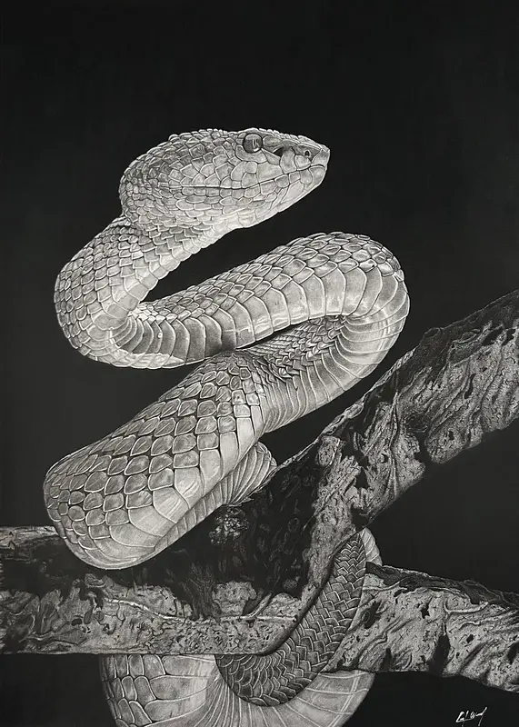 Snake av Carl Wendel