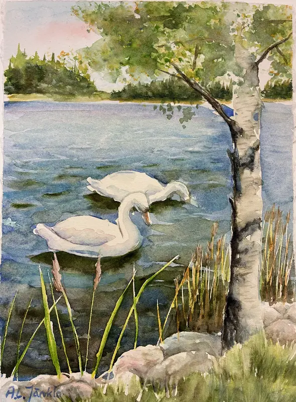 Akvarell Svanar av Ann-Louise Järvklo