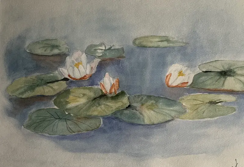 Akvarell Näckros i stilla vatten av Annelie Johansson